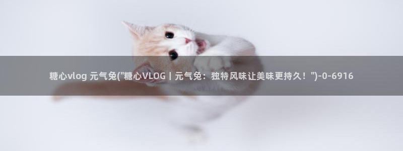 糖心vlog姐弟：糖心vlog 元气兔(\