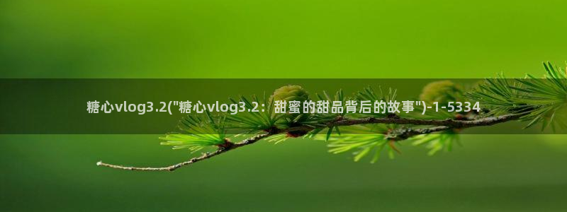 糖心vlog 多乙：糖心vlog3.2(\