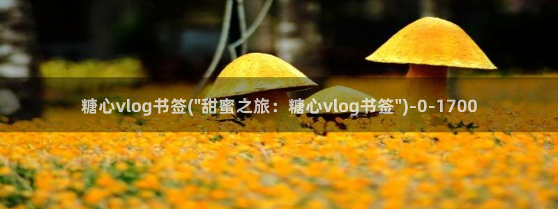 糖心vlog安装不了