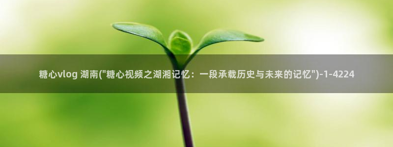 小甜豆糖心vlog：糖心vlog 湖南(\